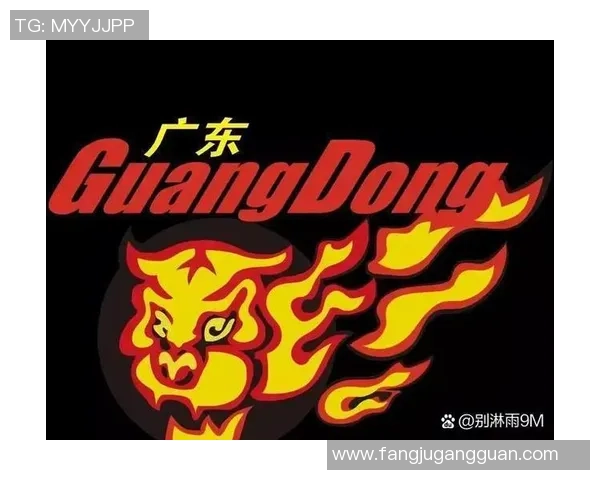 成都篮球队战术实力强劲荣登全国篮球战术排行榜第四位